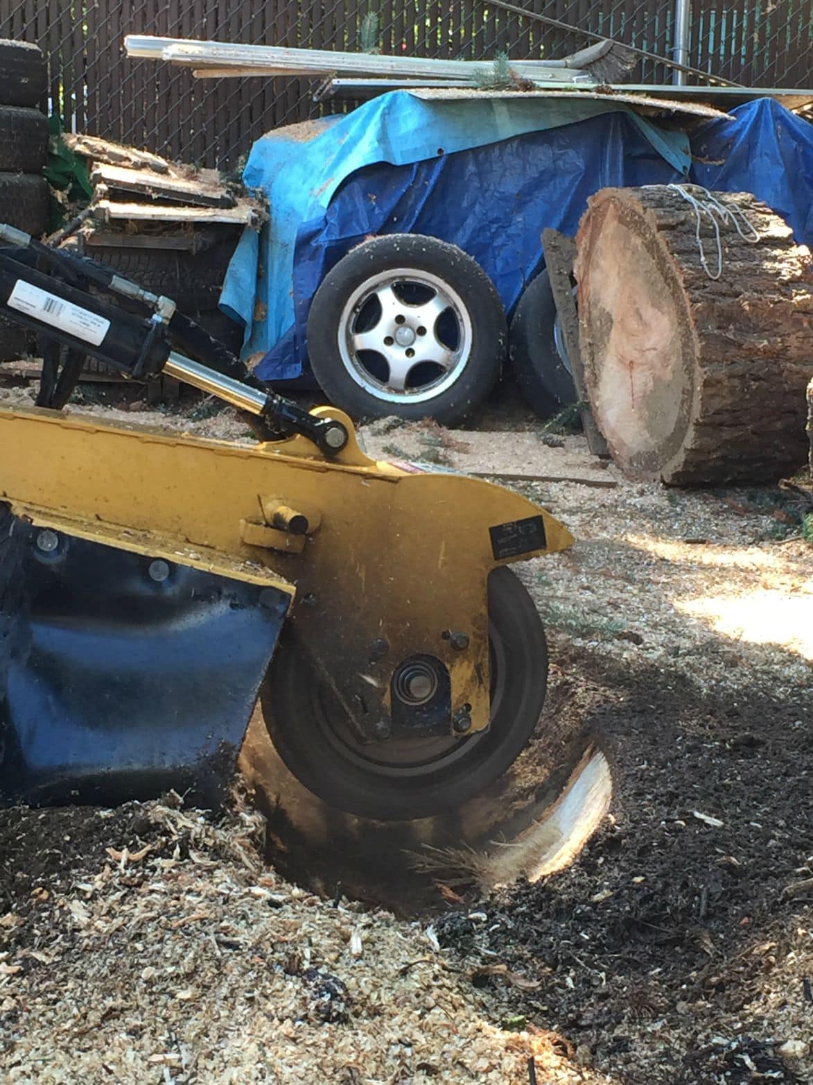 Stump Grinding / Removal