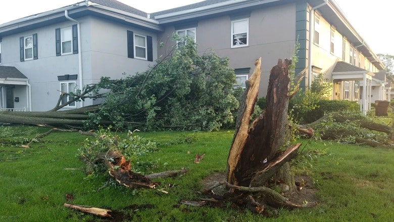 Storm Damage Tree Down, Portland Emergency Tree Service, Tree Emergency,