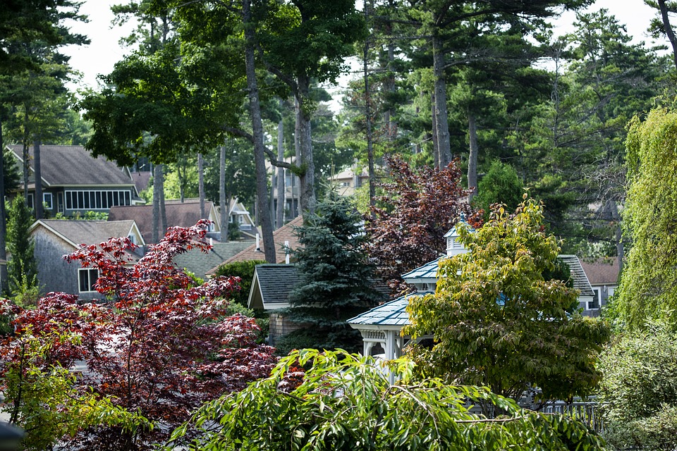 Trees in the community, Trees benefitting the community
