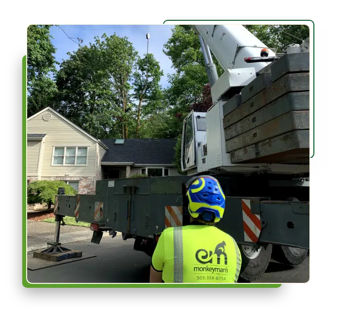 Monkeyman's Tree Service Certified Arborist watching a crane remove a maple tree from a clients backyard in Lake Oswego, Oregon