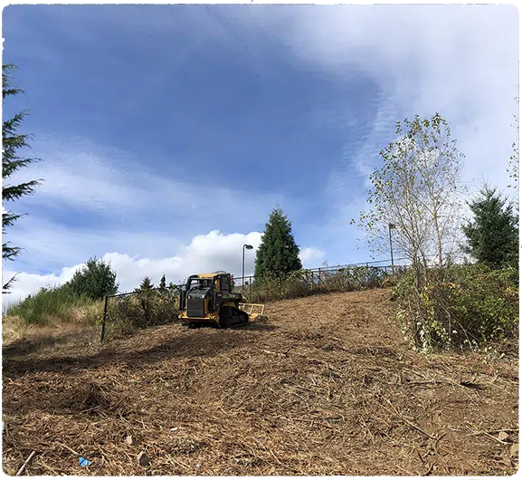 field mowing invasive blackberry and non-native plants for a clients backyard in Portland, Oregon