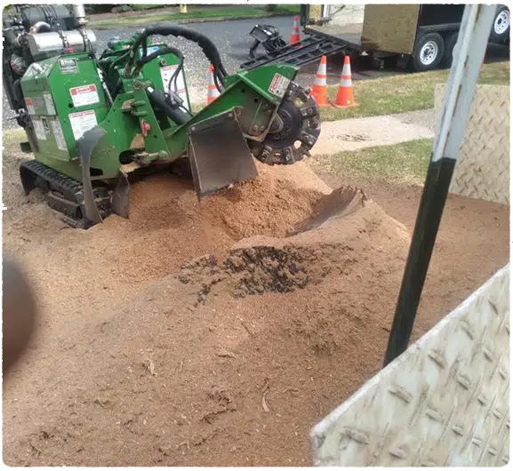 grinding a large stump with our green industrial sized stump grinder