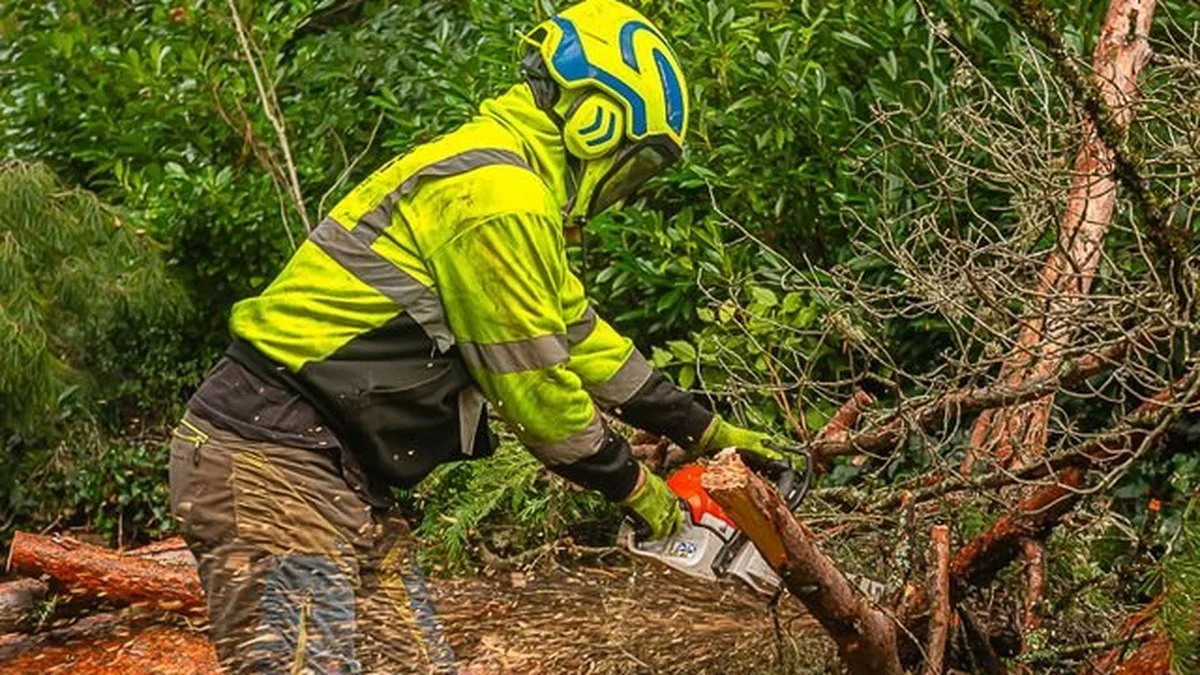 Monkeyman's ISA Certified Arborist using a chainsaw to clear a storm-felled tree in the Portland metro area.