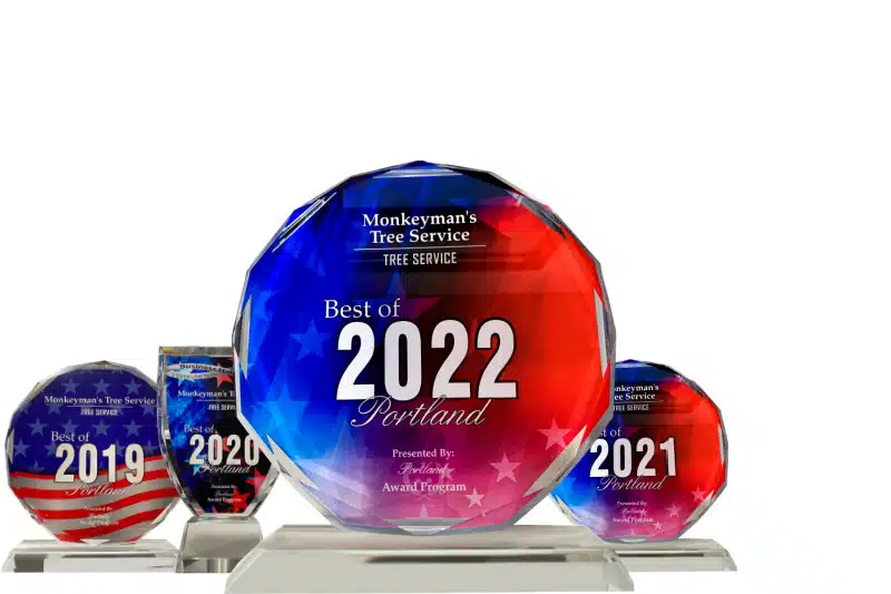 2019, 2020 2021, and 2022 Best Tree Service in Portland Awards