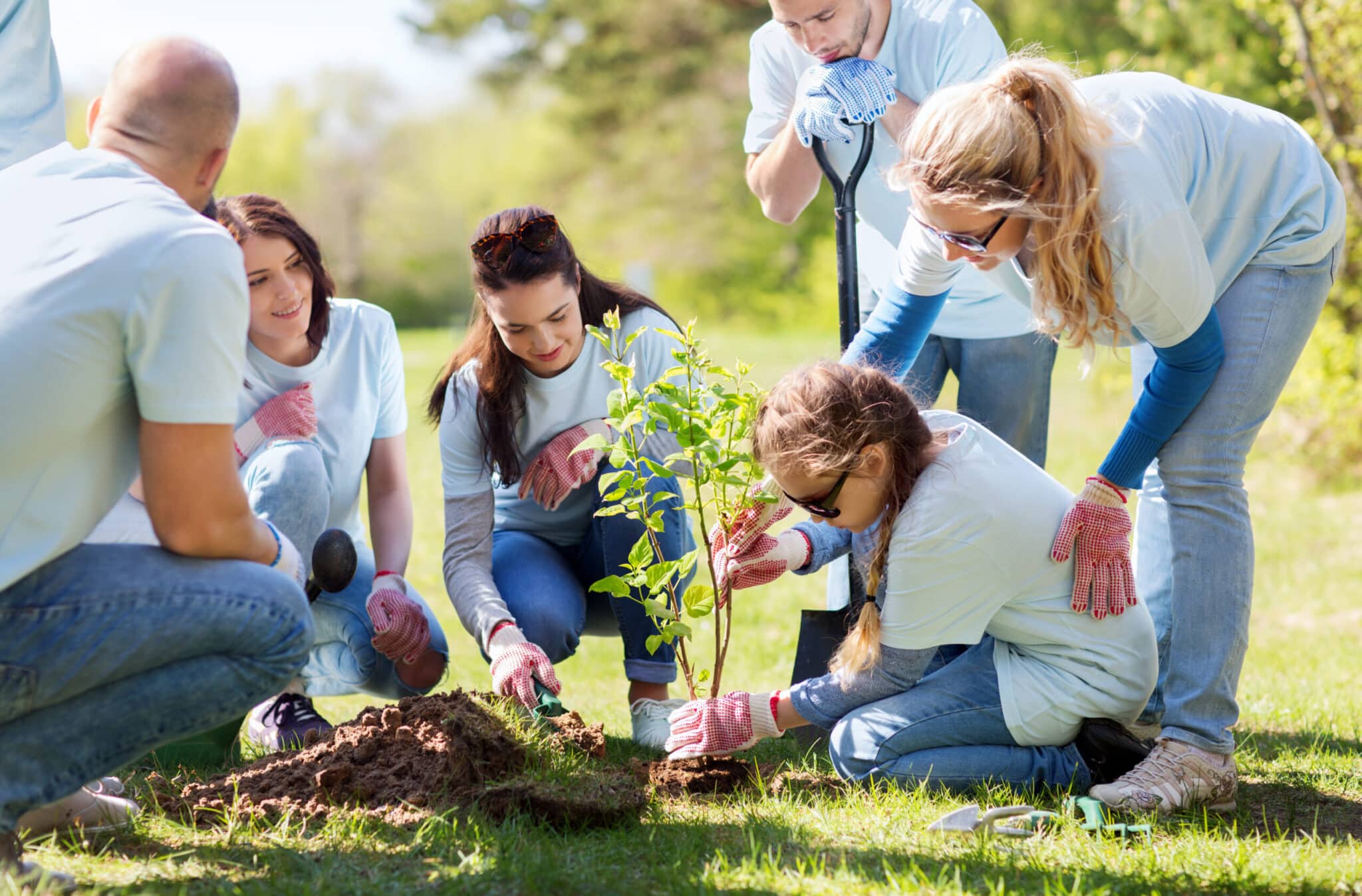 People planting a tree in healthy soil