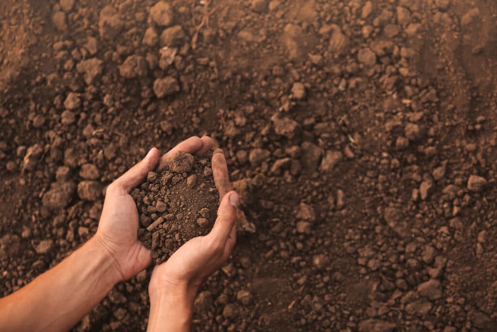 soil has millions of microorganisms that recycle nutrients that are available to plants