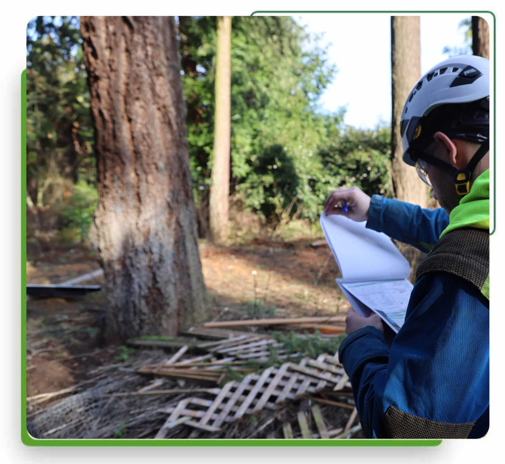 ISA Certified Arborist Doug Lyle inspecting health of trees