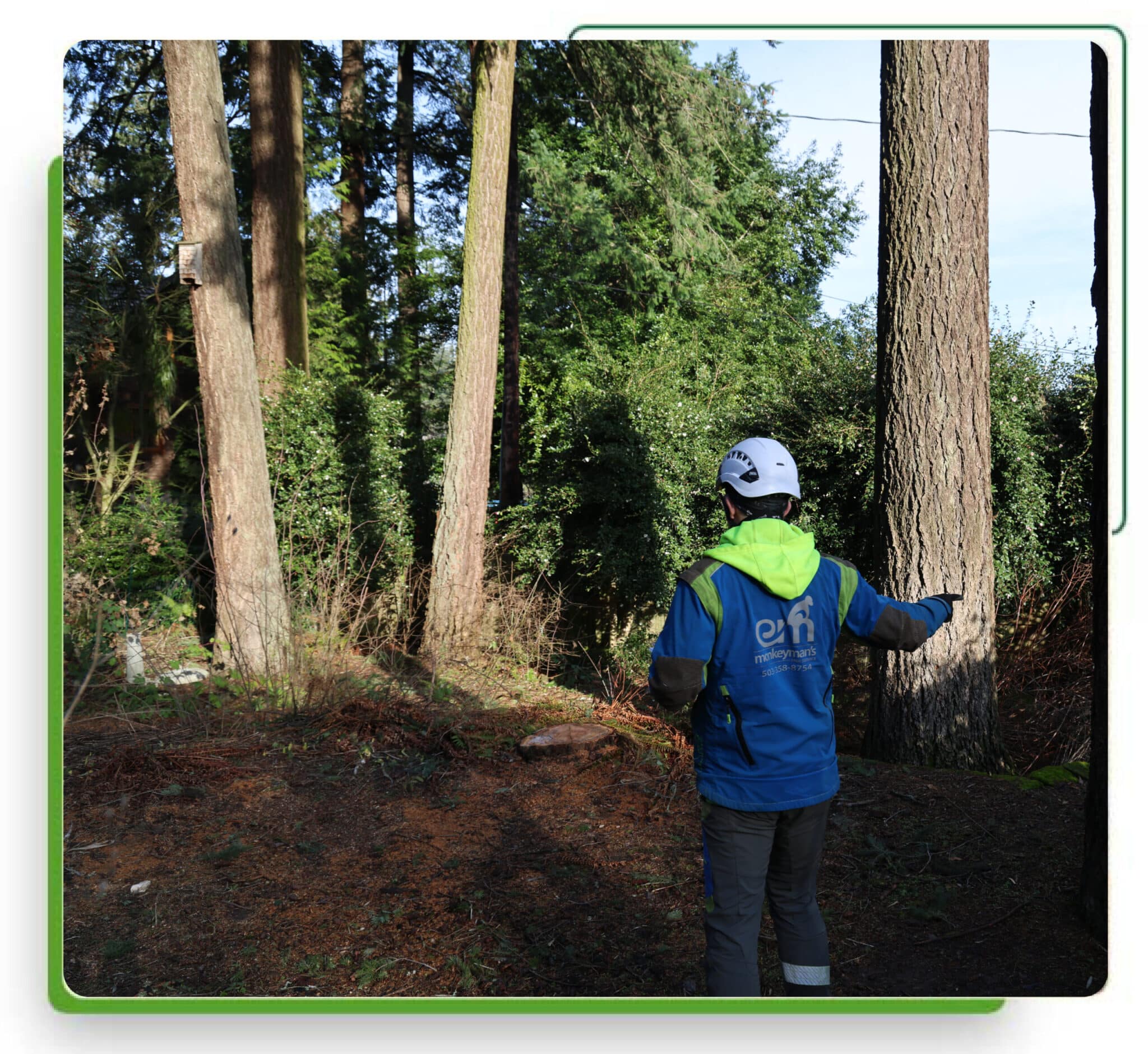 tree service for construction site Portland