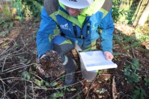 Portland tree removal