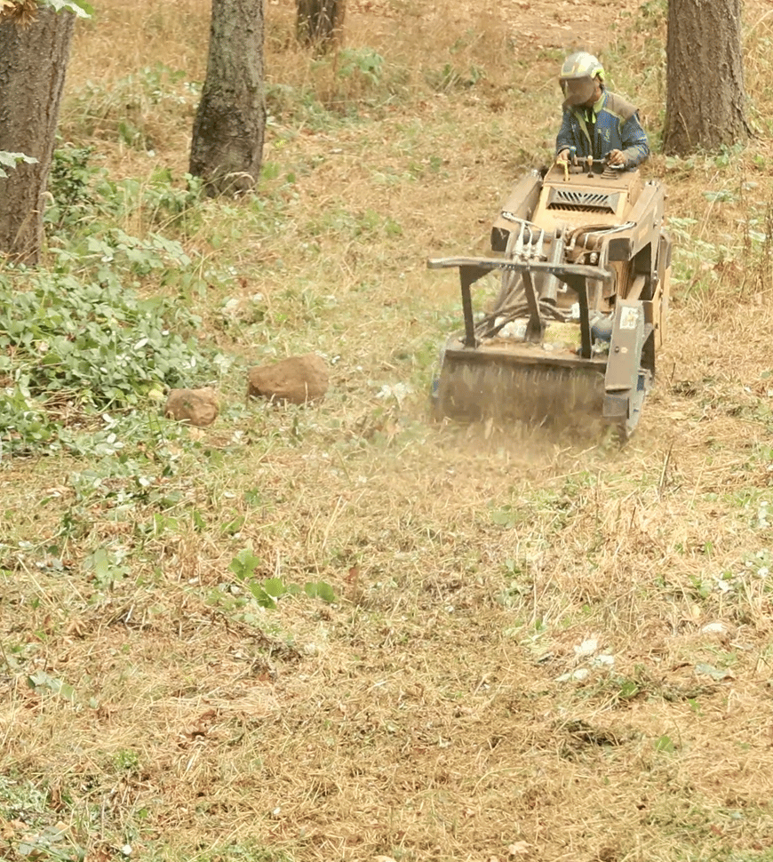 Land clearing service Portland OR