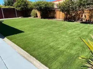 front yard landscaping services