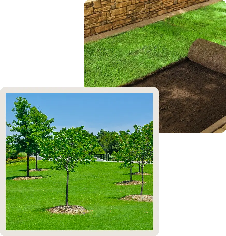 landscaping edging
