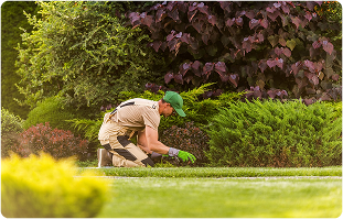 landscaping services near me