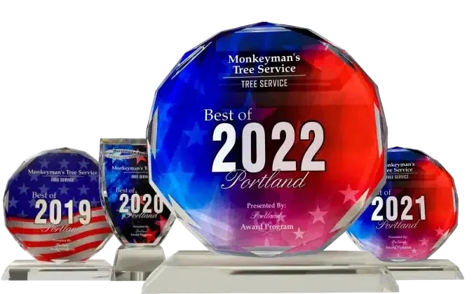 Monkeyman’s Tree Service Portland