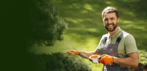 best time of year for tree pruning