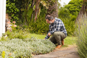 low-maintenance landscape designs