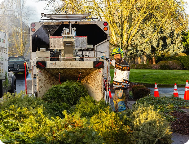 Commercial Brush Removal