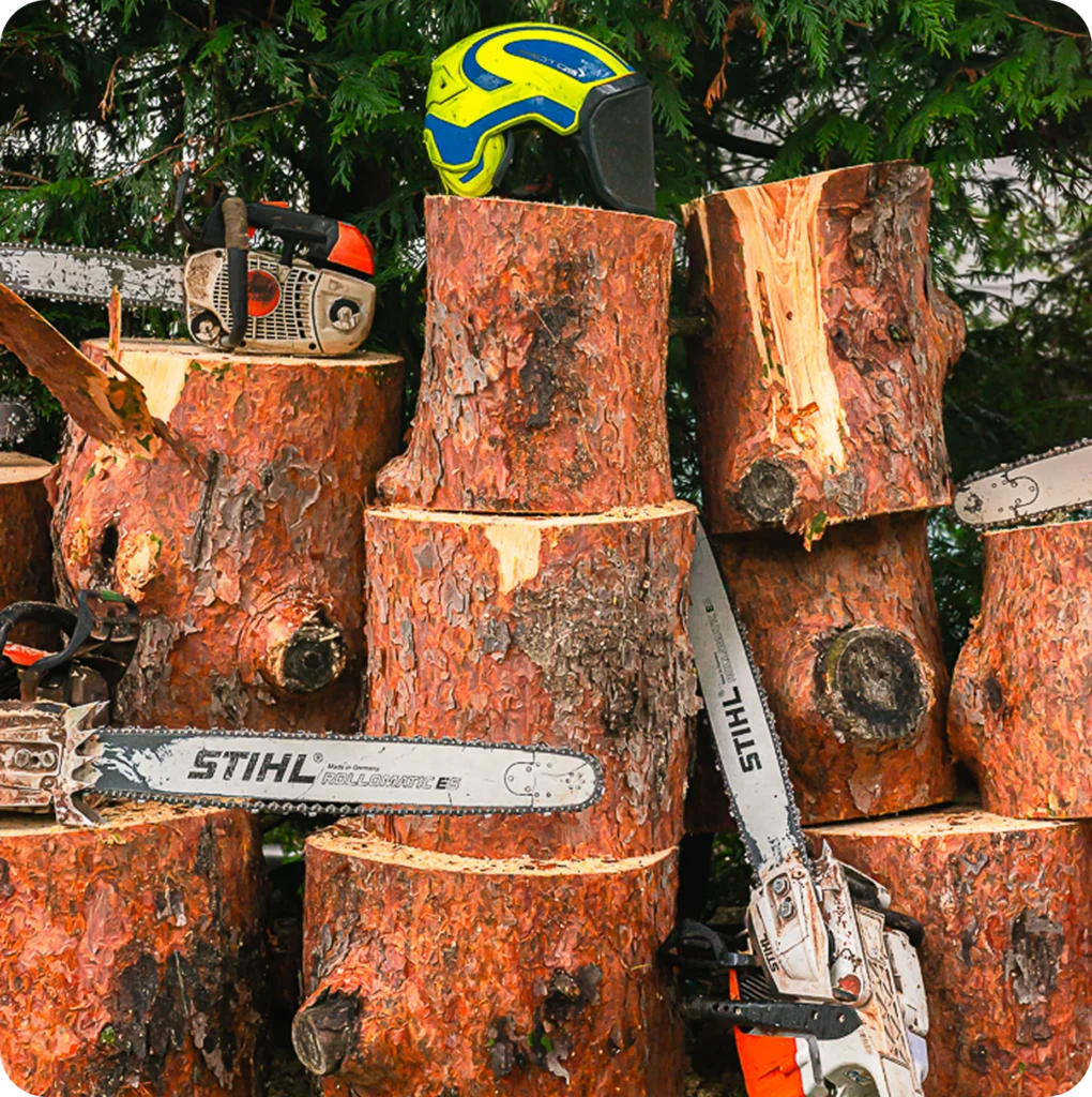 Dead stumps are eyesores that instantly drag down your homes curb appeal. Even a beautiful yard can look neglected