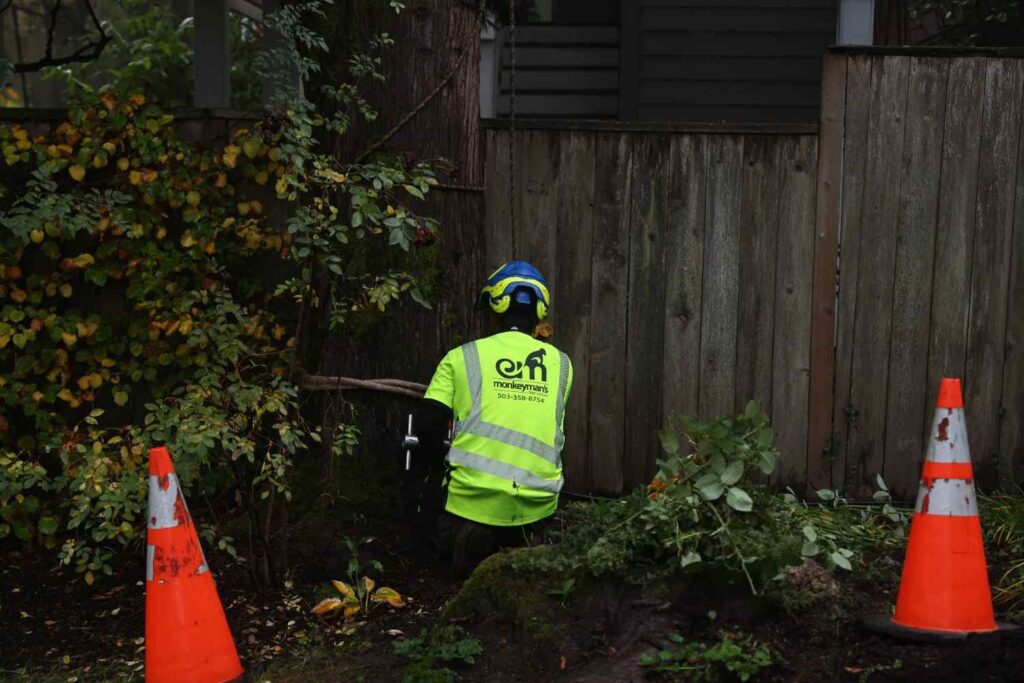 DiagnosingPlantProblemsinPortland