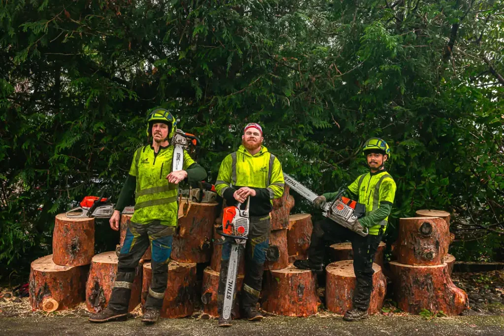 Emergency Tree Service