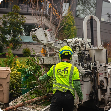 Mulching Brush Chipping