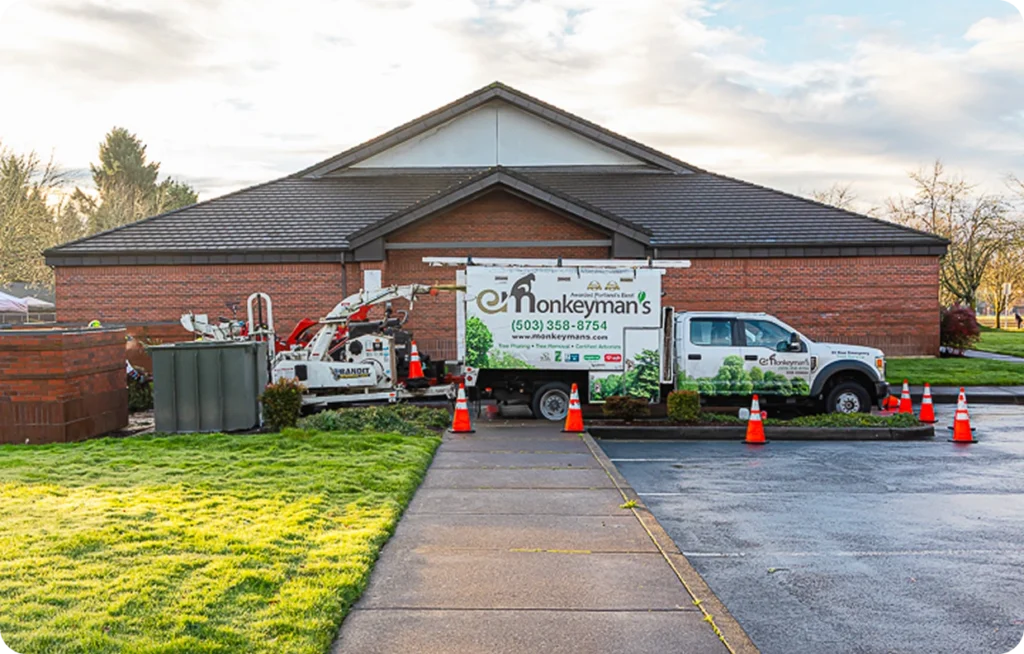 Once we finish your space is level and ready for new projects or landscaping