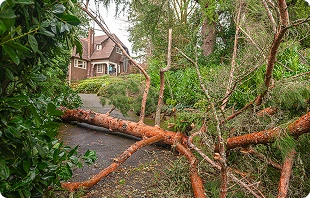 Storm Damage