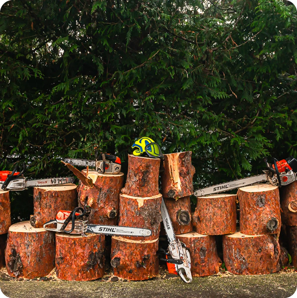 Stumps hide in tall grass and poor lighting making them a major tripping risk for guests and family