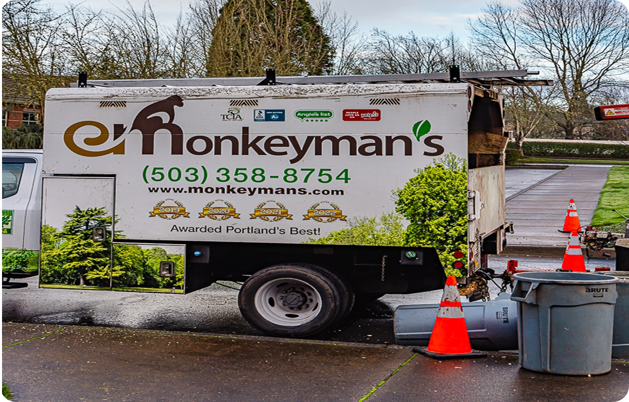 Transparent competitive pricing that surprises clients—high quality work without the premium price