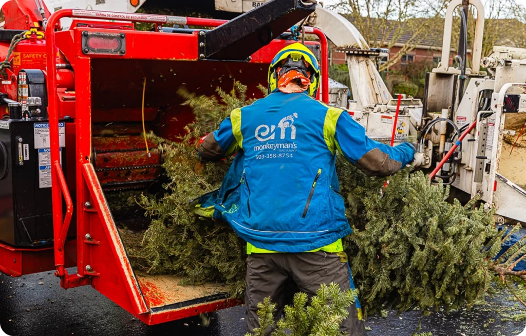 We use top grade grinders to remove stumps without disturbing your surrounding landscape