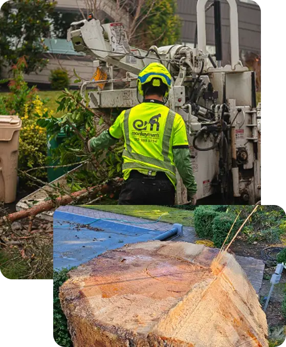 Why Choose Monkeymans