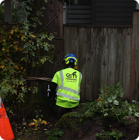 fence line clearing