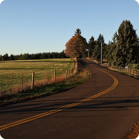 new road clearing